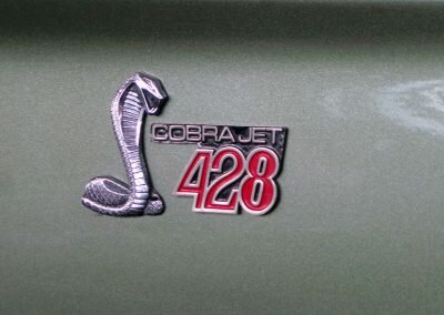 mustang shelby 10