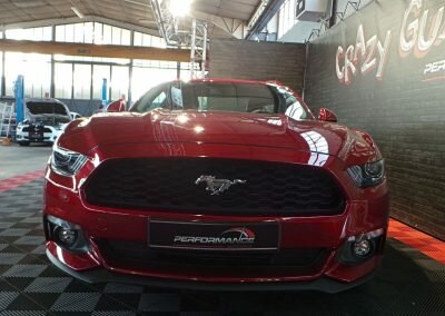 MUSTANG BORDEAUX ECO 02