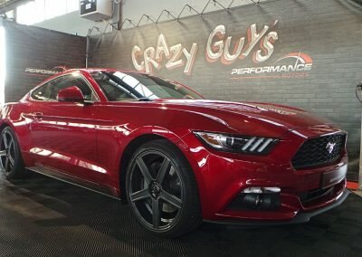 MUSTANG BORDEAUX ECO 04