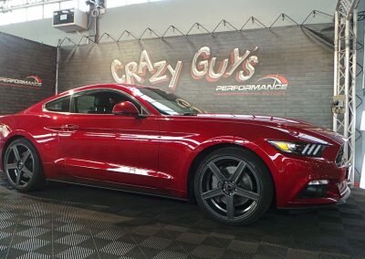 MUSTANG BORDEAUX ECO 05
