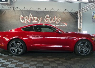 MUSTANG BORDEAUX ECO 06