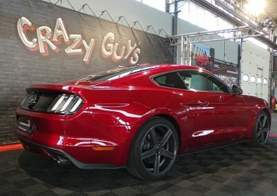 MUSTANG BORDEAUX ECO 08