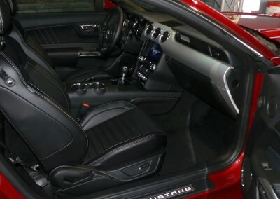 MUSTANG BORDEAUX ECO 13
