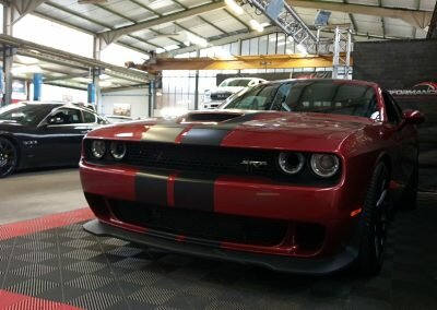 HELLCAT BORDEAUX 03