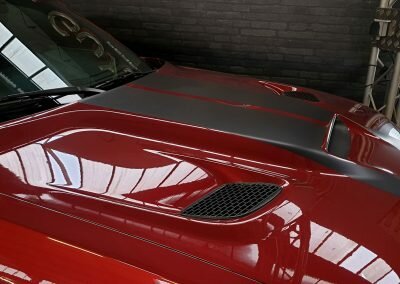 HELLCAT BORDEAUX 10