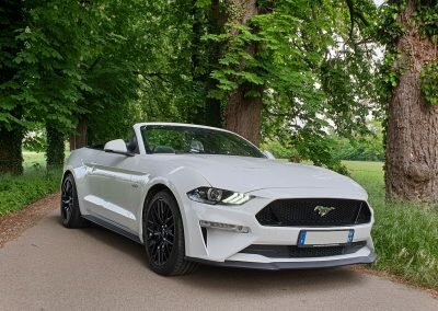 MUSTANG V8 CAB LOC 01