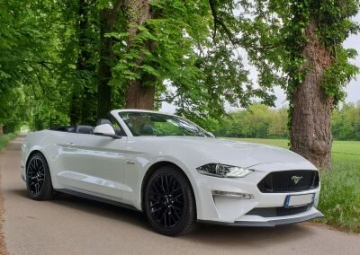 MUSTANG V8 CAB LOC 02