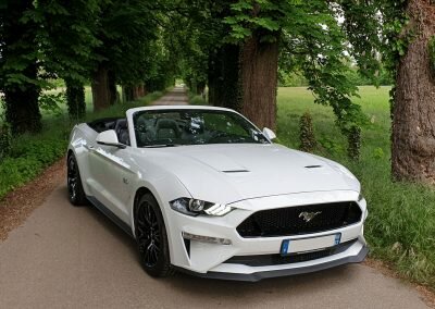 MUSTANG V8 CAB LOC 03