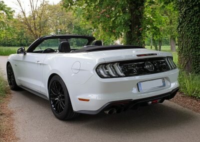 MUSTANG V8 CAB LOC 04