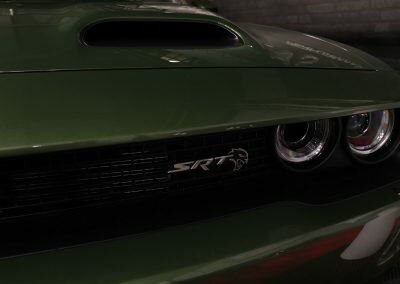 HELLCAT VERTE 10
