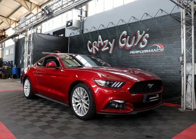 MUSTANG ECO BORDEAUX 01
