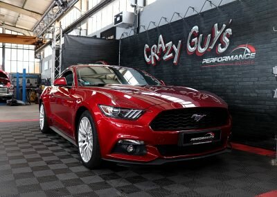 MUSTANG ECO BORDEAUX 02