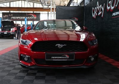 MUSTANG ECO BORDEAUX 03