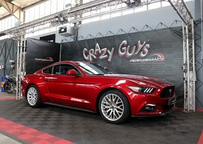 MUSTANG ECO BORDEAUX 04