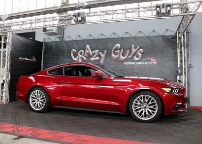 MUSTANG ECO BORDEAUX 05