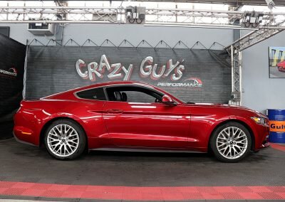 MUSTANG ECO BORDEAUX 06