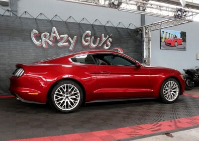 MUSTANG ECO BORDEAUX 07