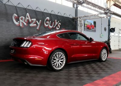 MUSTANG ECO BORDEAUX 08