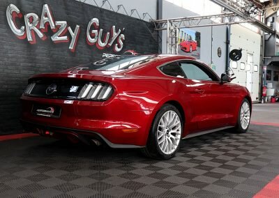 MUSTANG ECO BORDEAUX 09