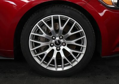 MUSTANG ECO BORDEAUX 10