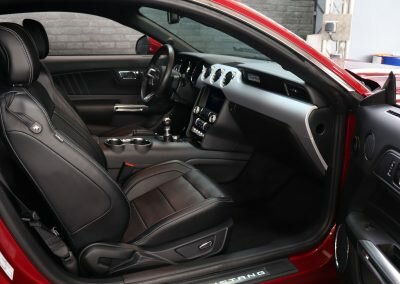 MUSTANG ECO BORDEAUX 11