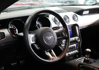 MUSTANG ECO BORDEAUX 15
