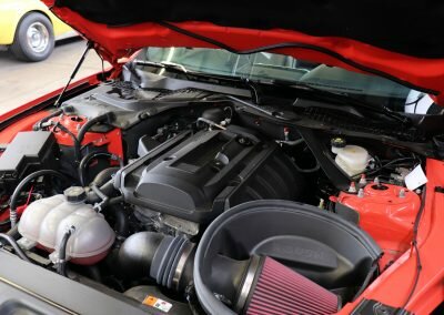 25