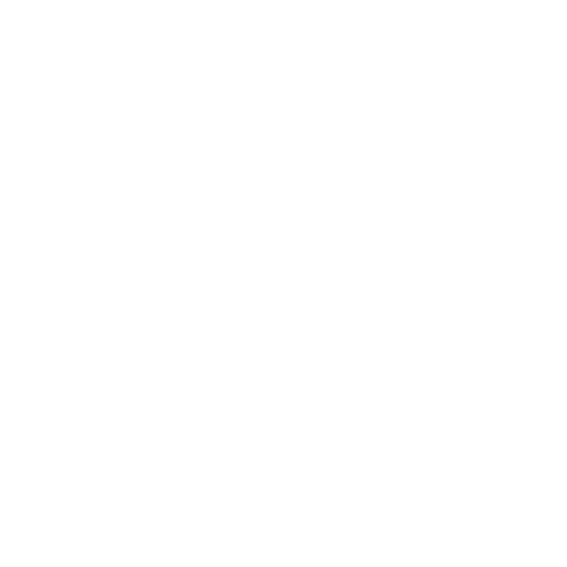 Performance Motors