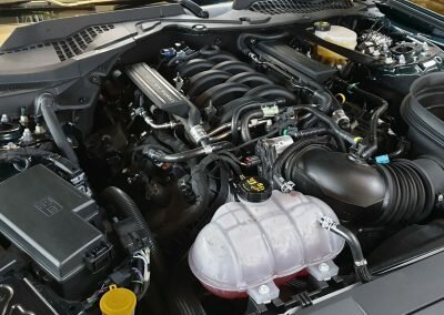 BULLIT 10