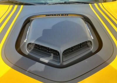 rt jaune 09